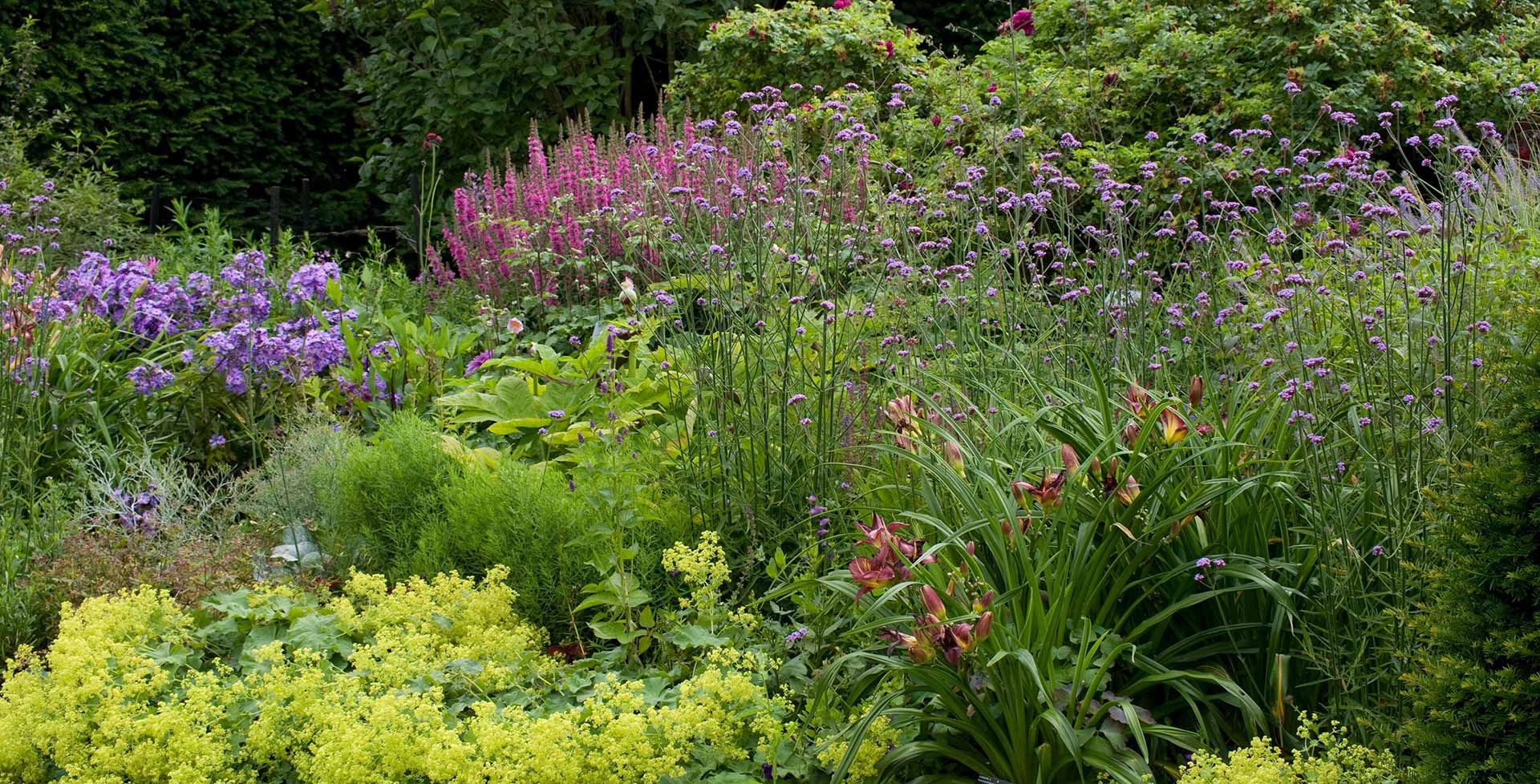 Front Page -GreenNest Store perennials desktop hero 1920x978 1